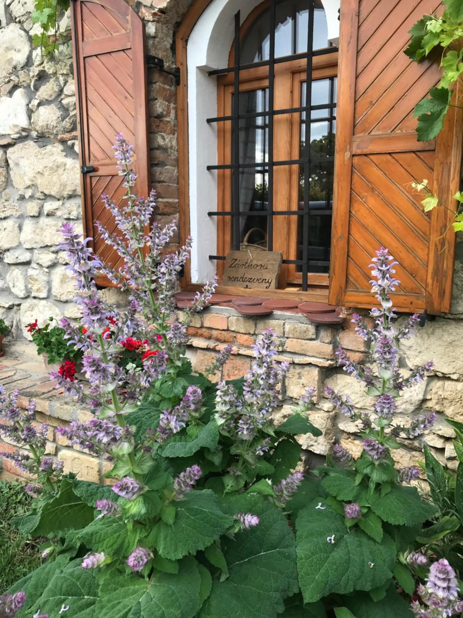 Cifrapince Es Vendeghaz Villa Tordas Exterior photo